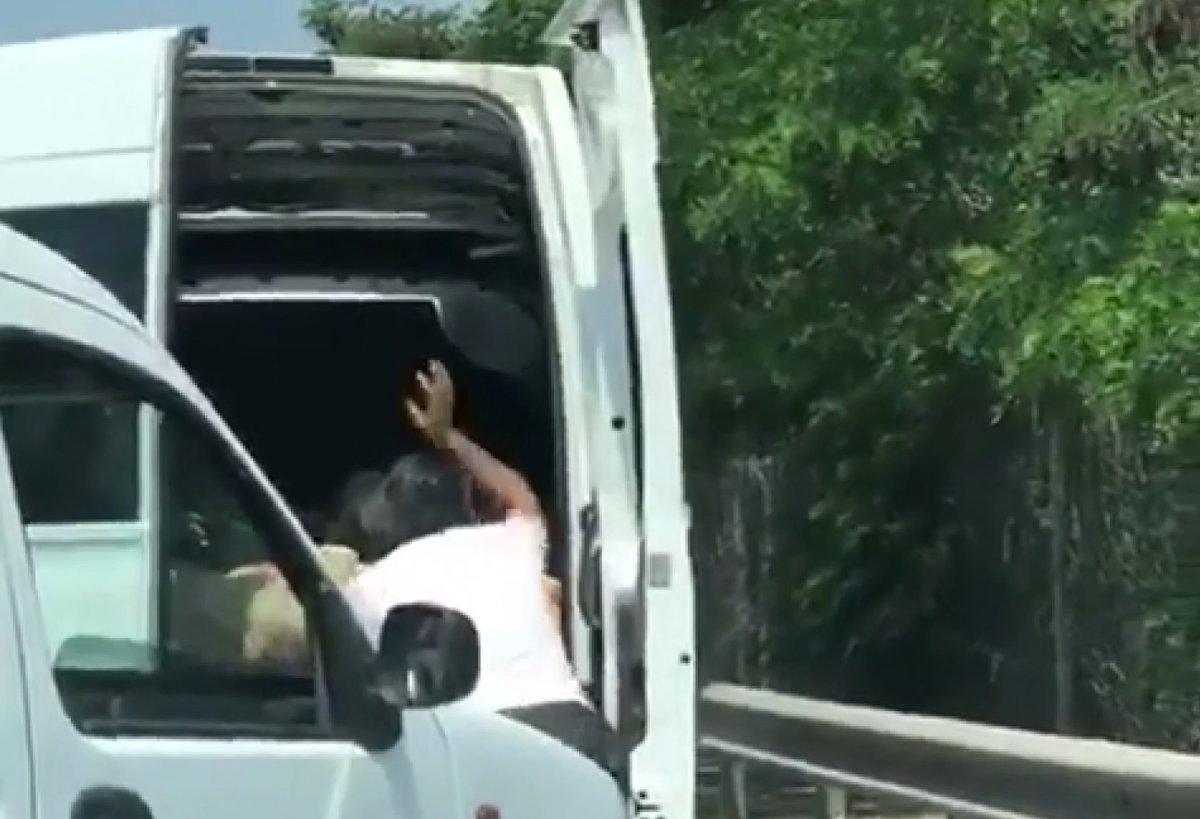 İstanbul’da onlarca koyunu kapalı bagajda taşıdı