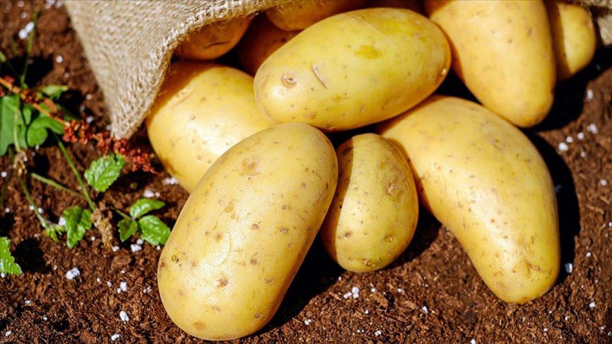Patatesin sağlığa 7 faydası