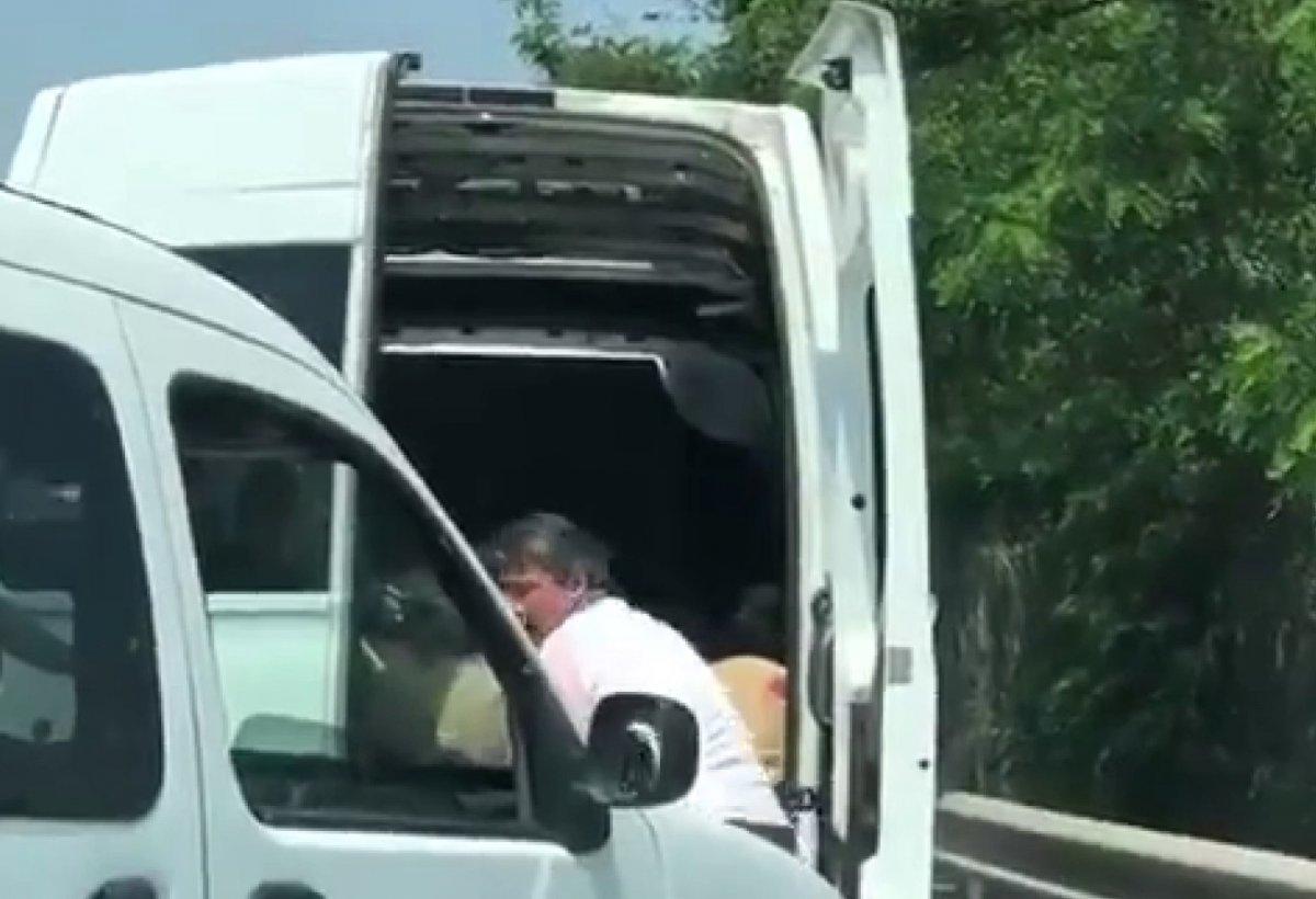 İstanbul’da onlarca koyunu kapalı bagajda taşıdı