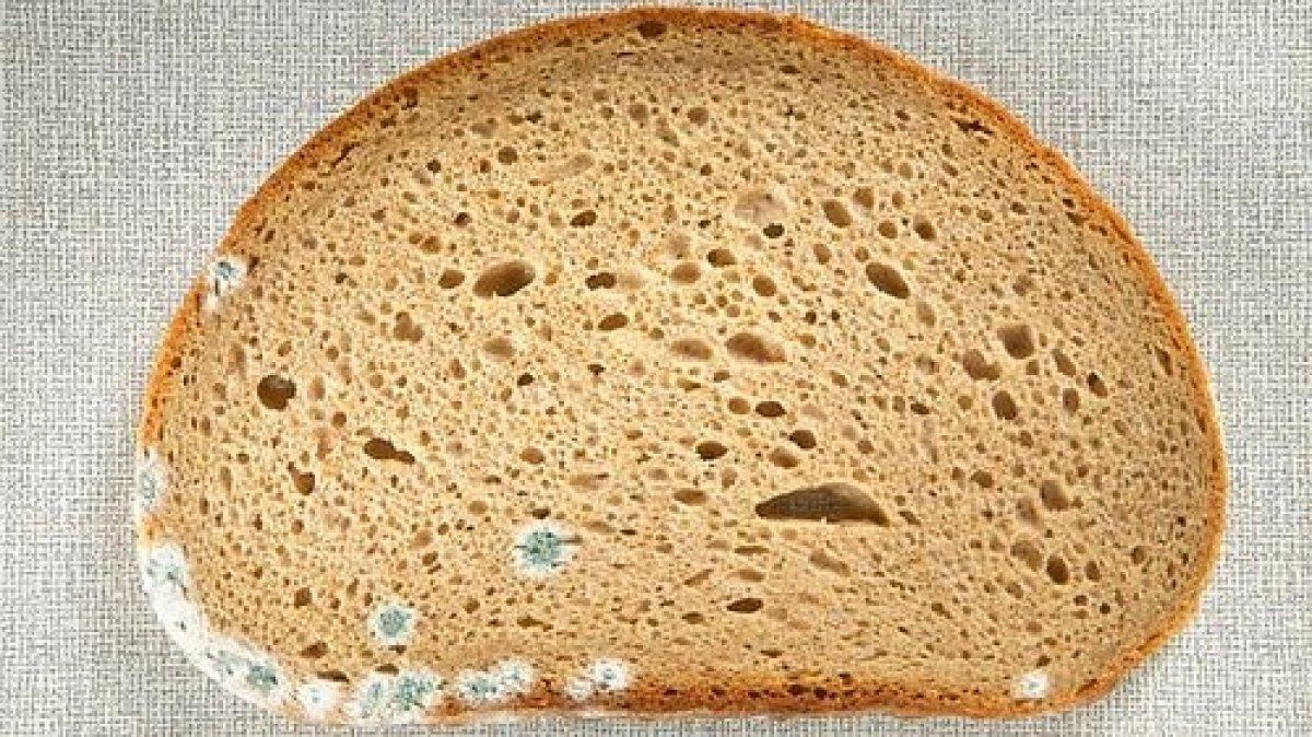 Yiyeceklerdeki en zehirli küfler