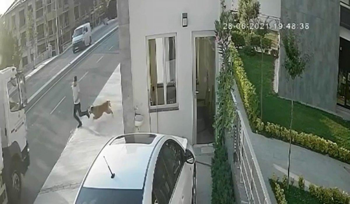 Büyükçekmece'de köpekten korkan gence kamyon çarptı