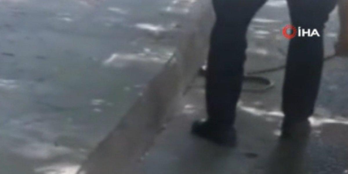 Ayazağa'da İETT otobüsünde yılan paniği