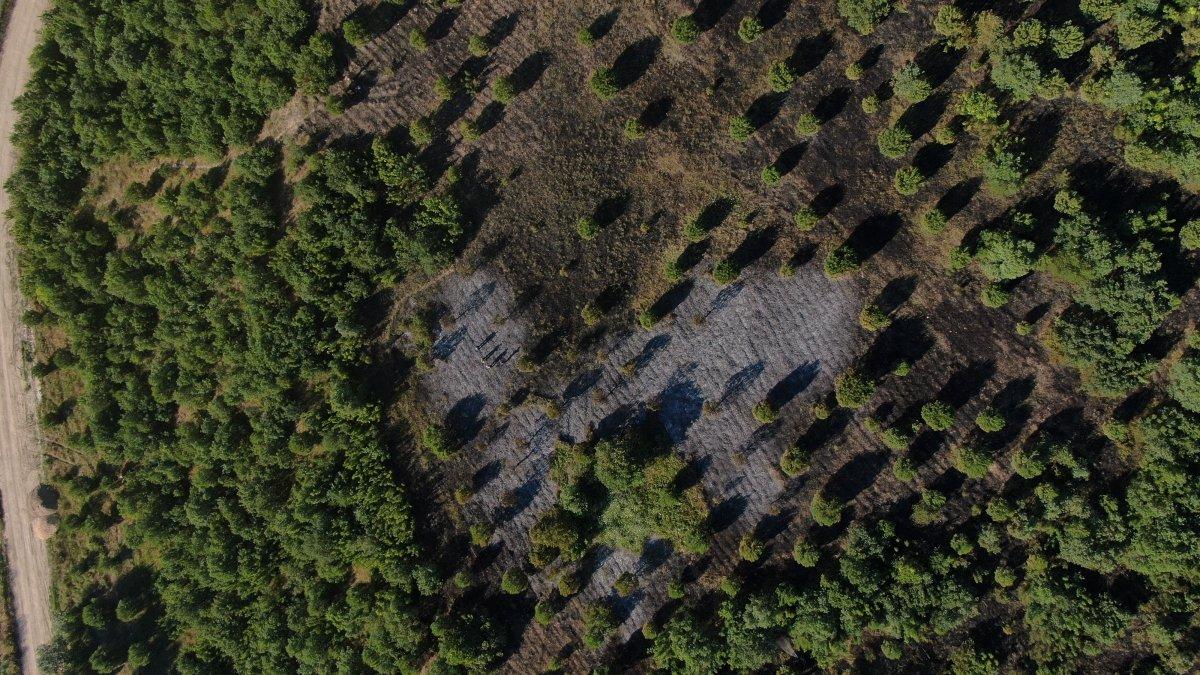 Bursa’da temizlik işçisi ormanlık alanda çıkan yangına sebep oldu