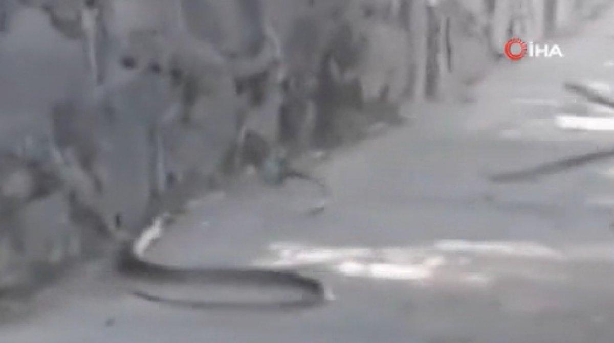 Ayazağa'da İETT otobüsünde yılan paniği