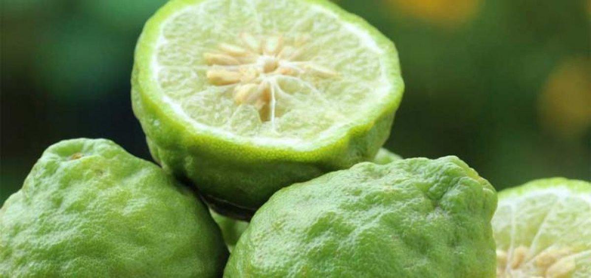 Uyku kalitesini artırmak için 4 bitkisel yağ