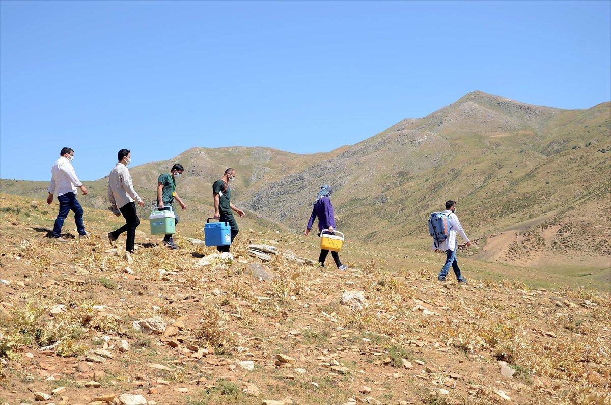 Fahrettin Koca'dan aşılama hedefi: Bayrama kadar yüzde 70