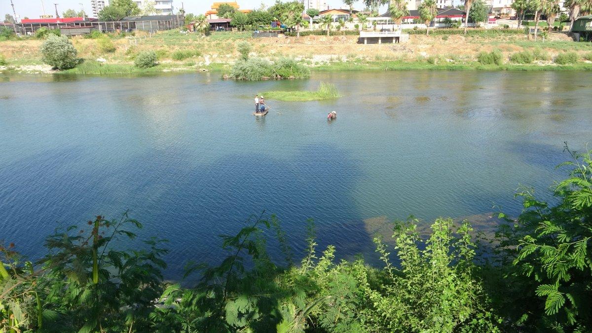 Adana’da sıcaktan bunalan at, nehir sularında serinledi
