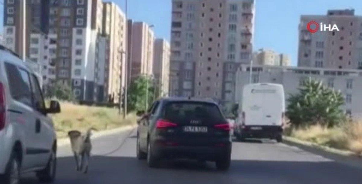 Esenyurt’ta, köpeği tasmasından tutup otomobilin arkasından koşturdu