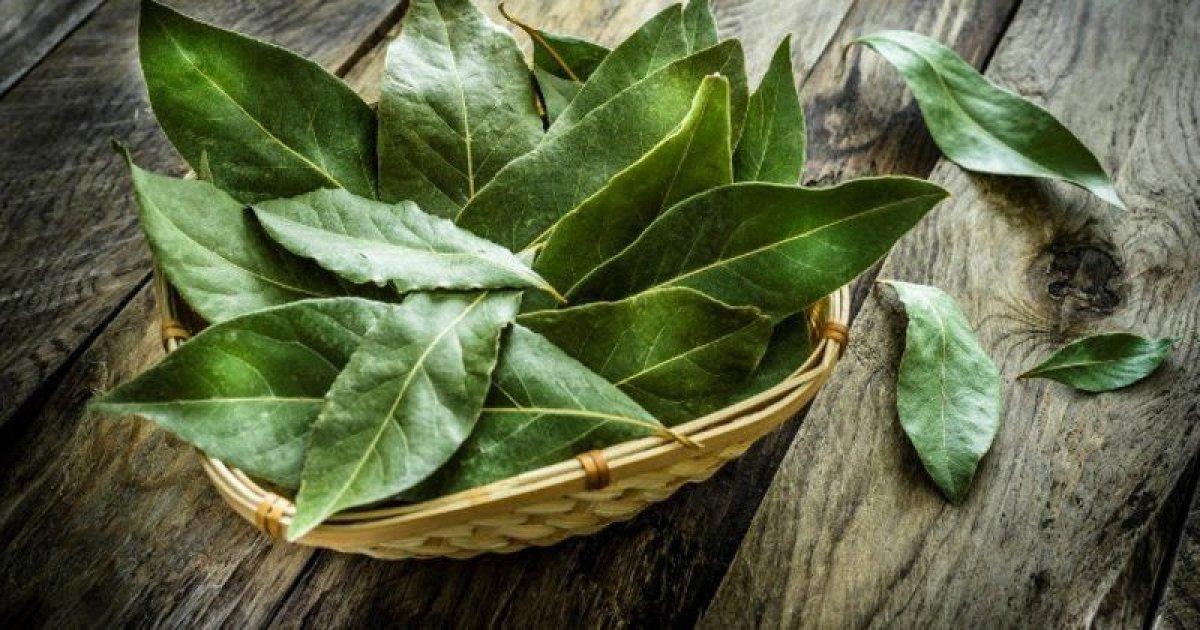 Ağız yaralarına karşı 10 doğal çözüm