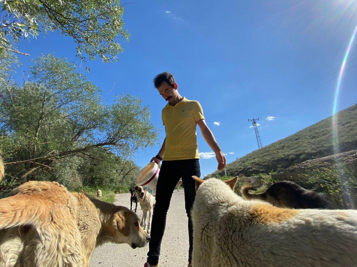 Ankara'da sokak hayvanları için restoranlarda ücretsiz çalışıyor