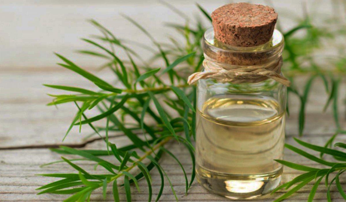 Ağız yaralarına karşı 10 doğal çözüm