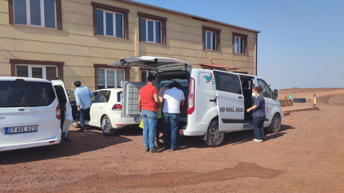 Amanos Dağı eteklerinde aşı mesaisi