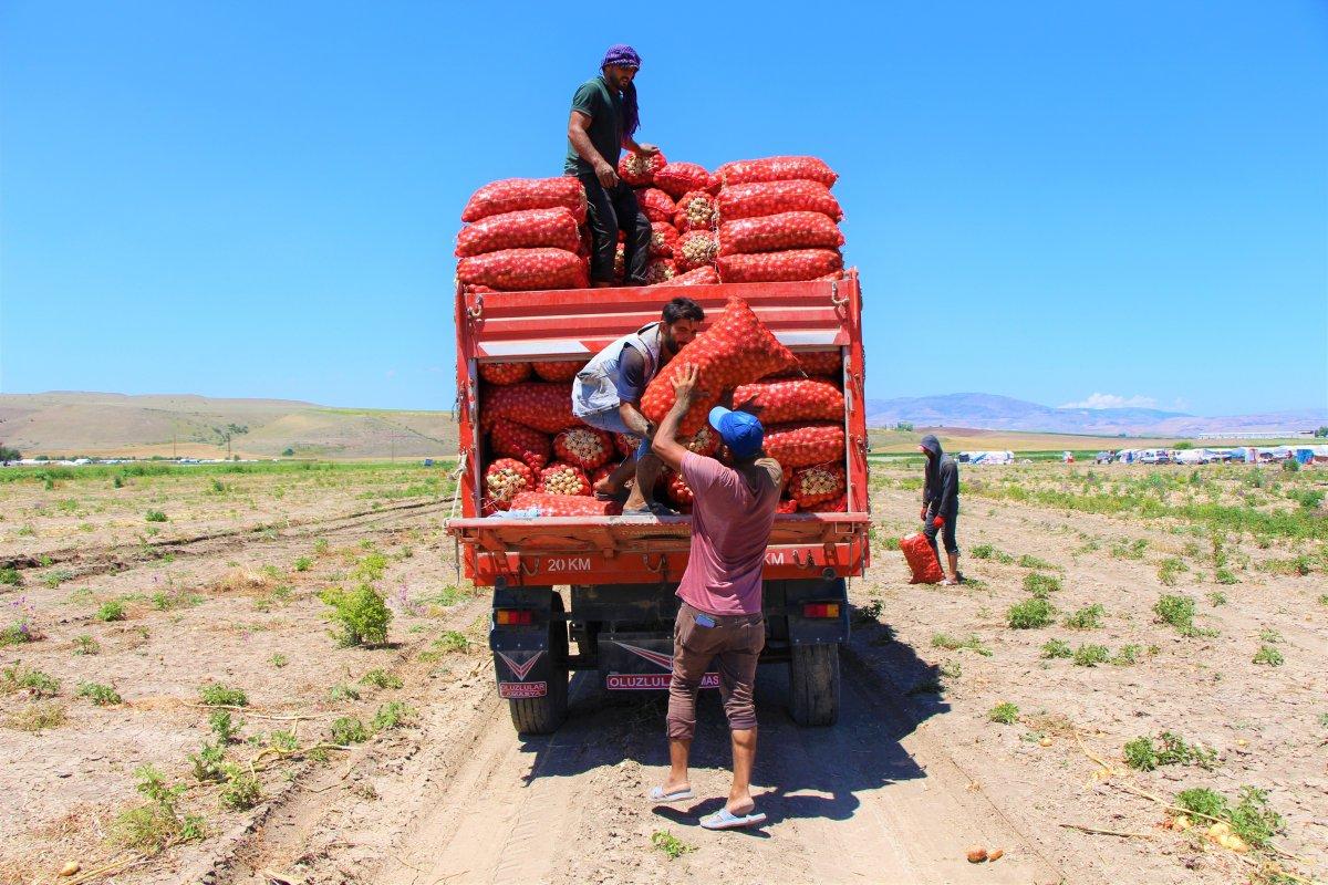 Soğan üreticisi fiyatlardan yana dertli