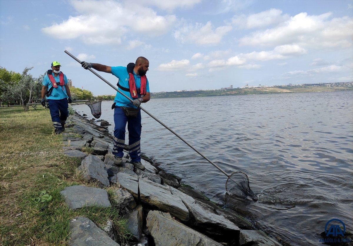 Küçükçekmece Gölü’nde yüzlerce ölü balık kıyıya vurdu