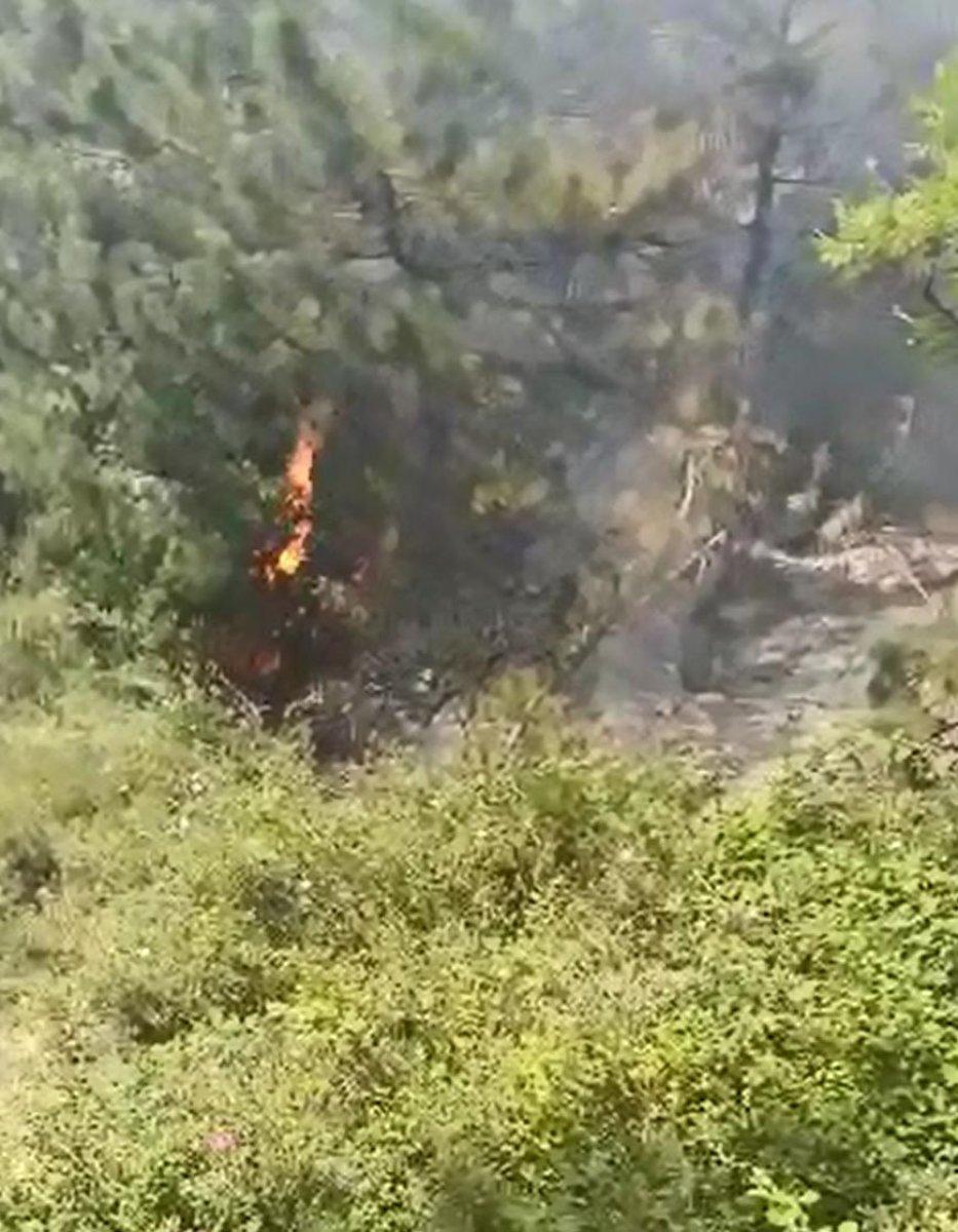 Kocaeli'de çıkan orman yangınına sağlık çalışanları müdahale etti