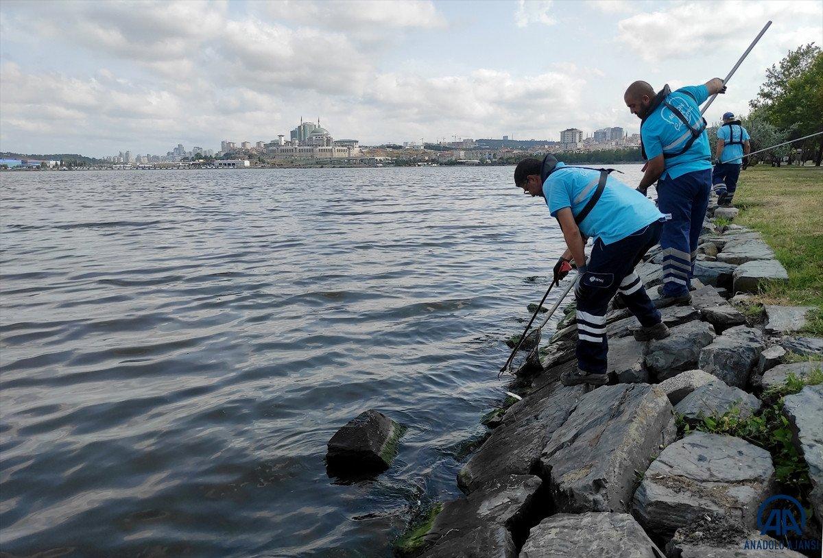 Küçükçekmece Gölü’nde yüzlerce ölü balık kıyıya vurdu