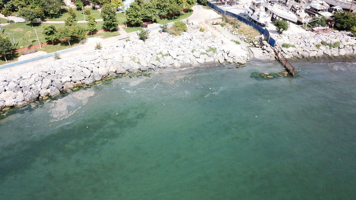 Kadıköy'de atıklarla pislenen derenin suyu denize karışıyor