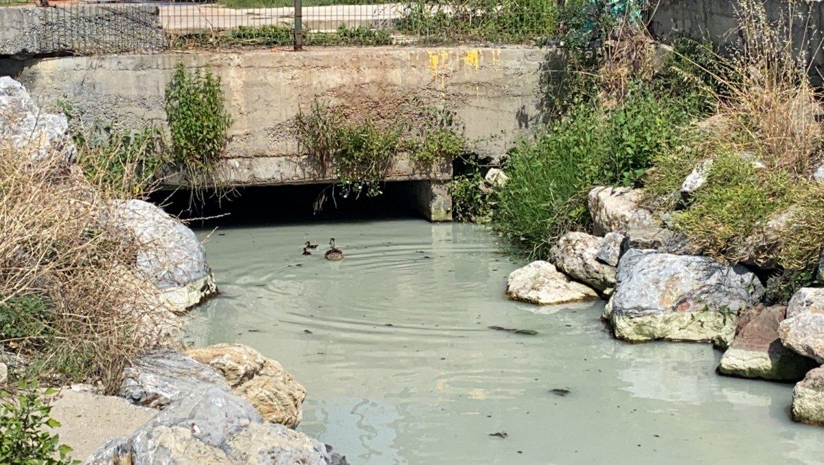 Kadıköy'de atıklarla pislenen derenin suyu denize karışıyor