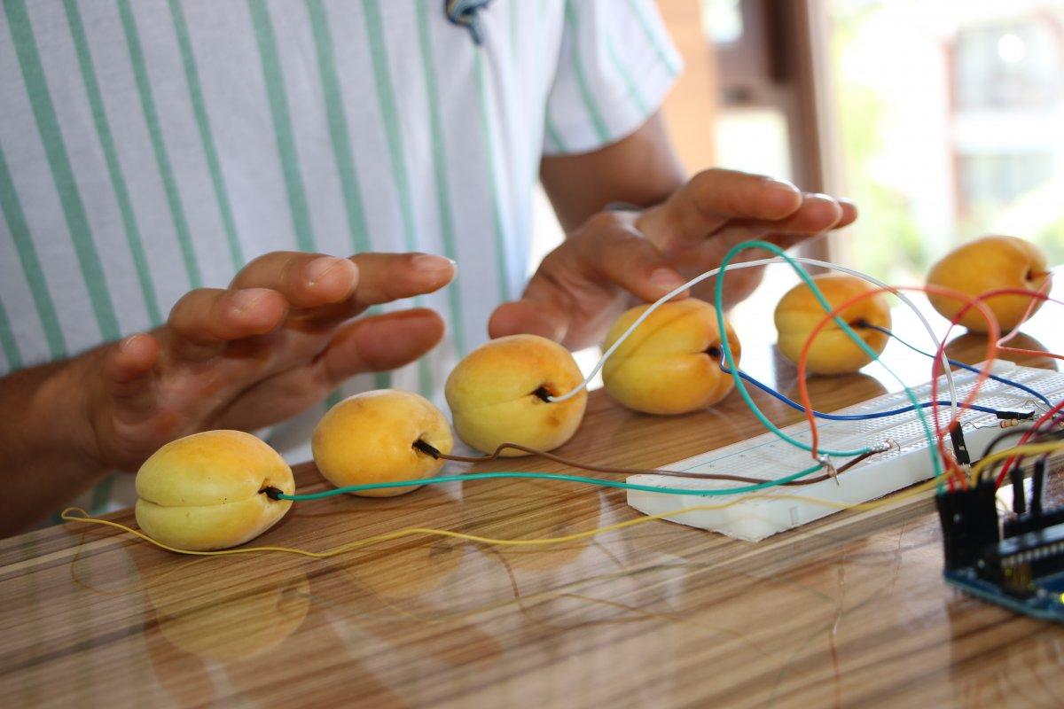 Malatya'da yaşayan genç, tuşları kayısıdan olan piyano yaptı