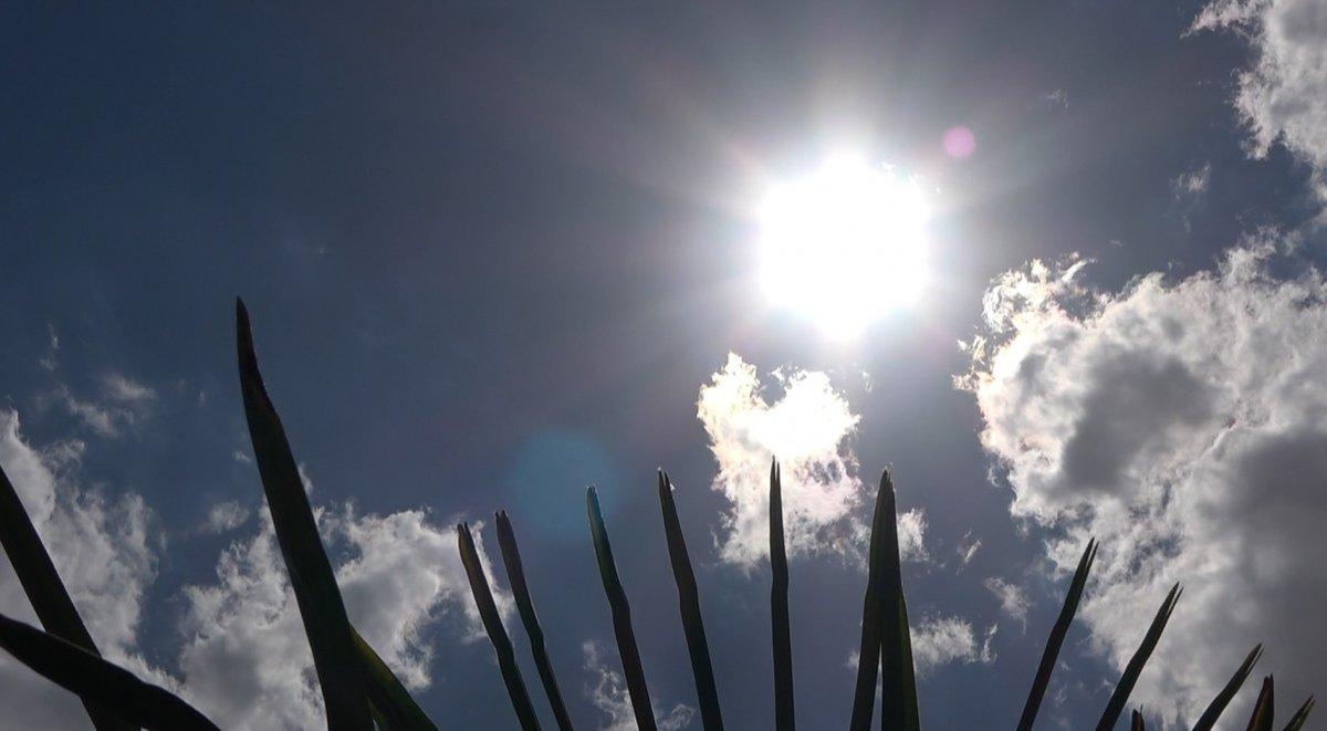 Elazığ'da sıcaktan bunalan vatandaştan ilginç yöntem