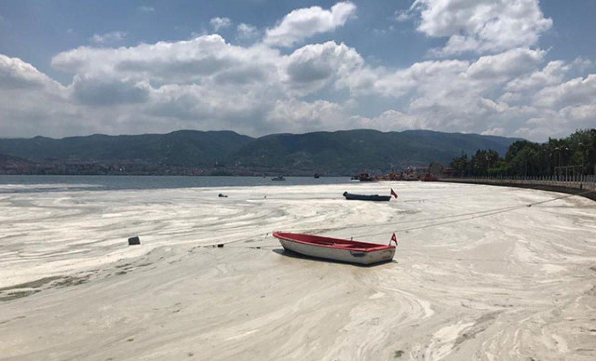 Marmara'dan 10 bin 434 metreküp müsilaj temizlendi