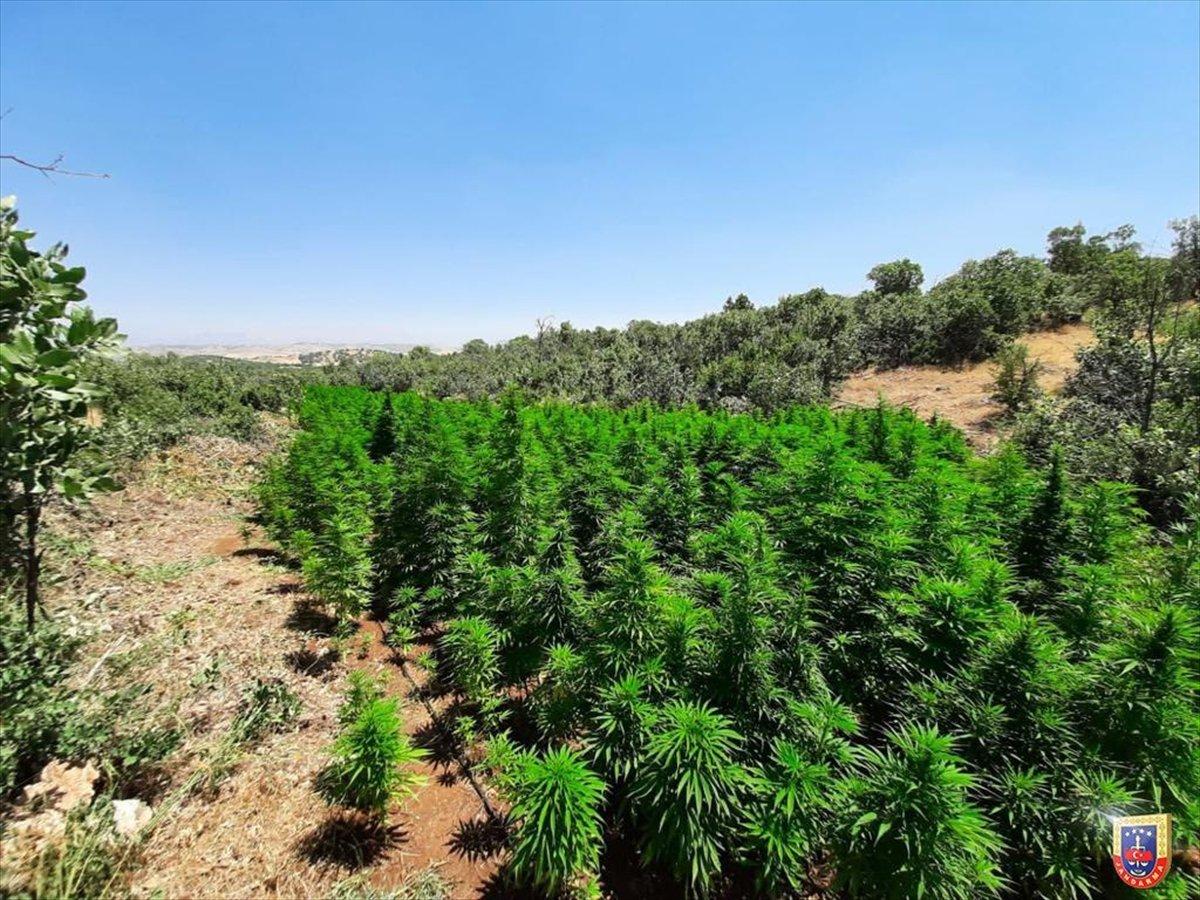 Diyarbakır'da narko-terör operasyonu: 73 gözaltı