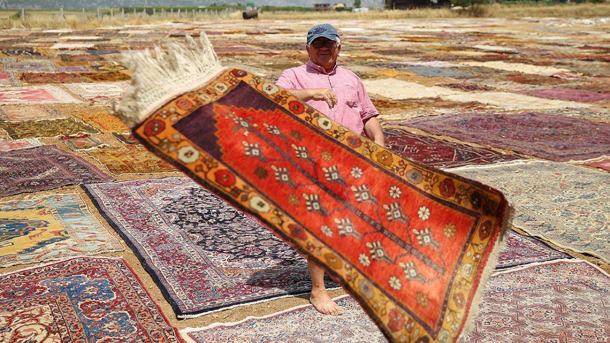 Antalya'nın 'halı tarlaları' yeniden renklendi
