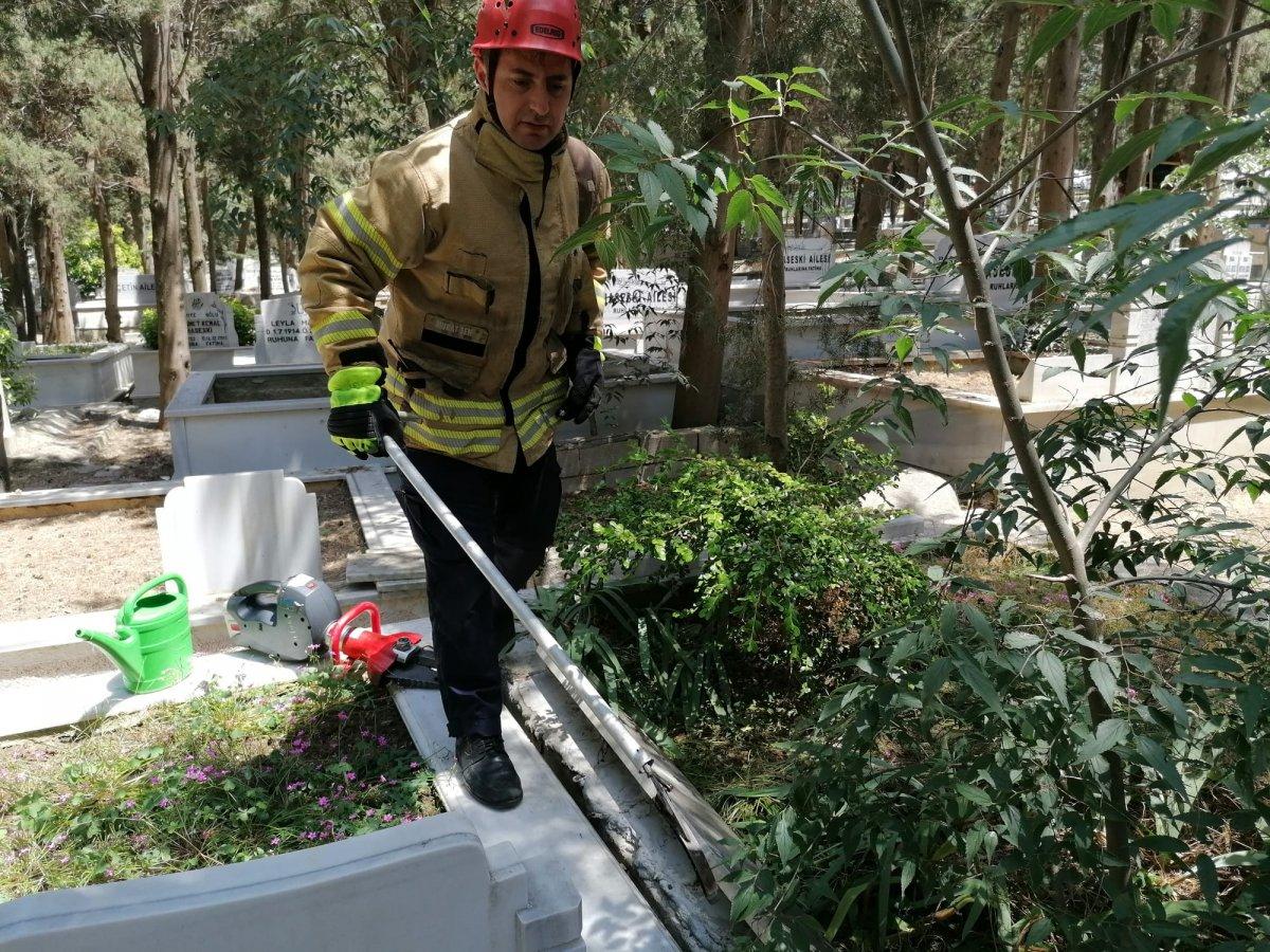 Silivri’de yavru köpekler mezarlıkların arasında sıkıştı