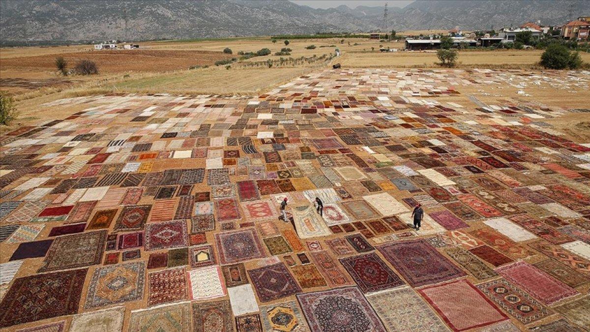 Antalya'nın 'halı tarlaları' yeniden renklendi