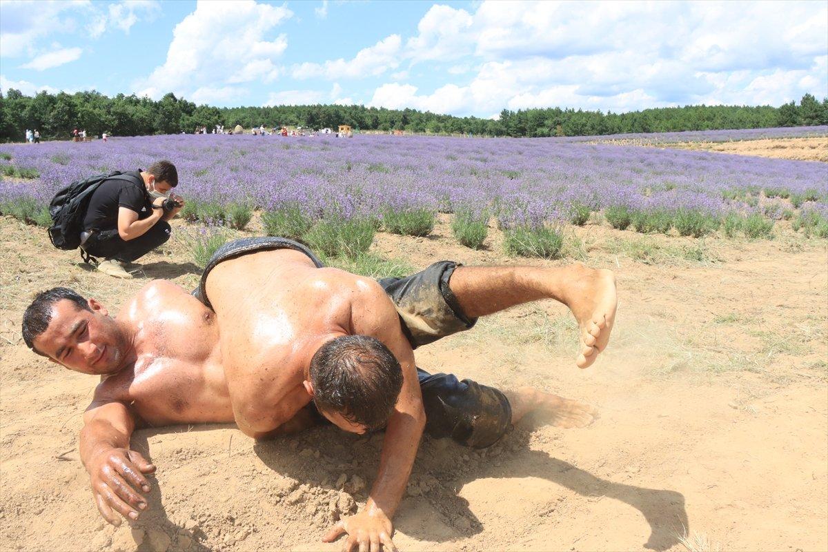 Kırklareli'de pehlivanlar, lavanta tarlasında Kırkpınar'a hazırlandı