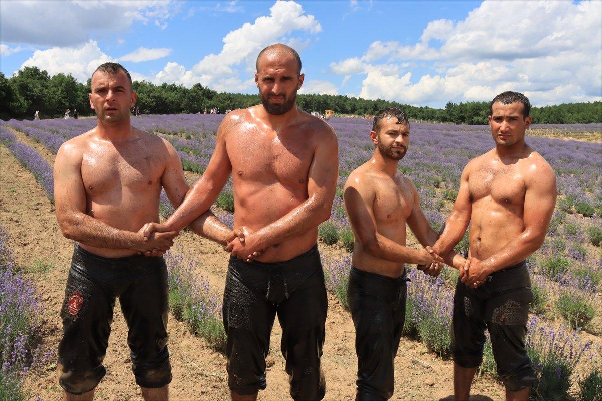 Kırklareli'de pehlivanlar, lavanta tarlasında Kırkpınar'a hazırlandı