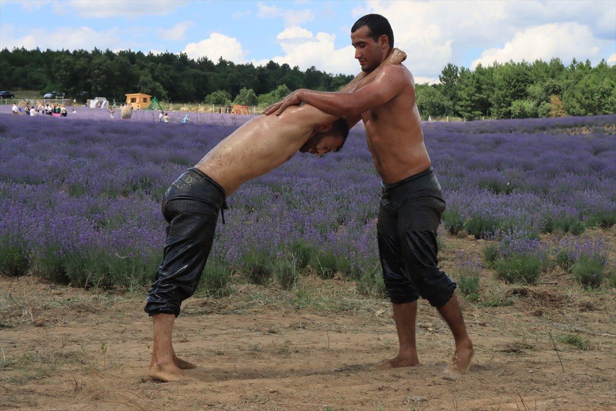 Kırklareli'de pehlivanlar, lavanta tarlasında Kırkpınar'a hazırlandı