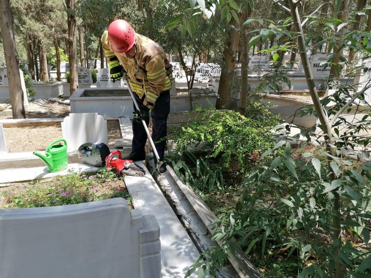 Silivri’de yavru köpekler mezarlıkların arasında sıkıştı