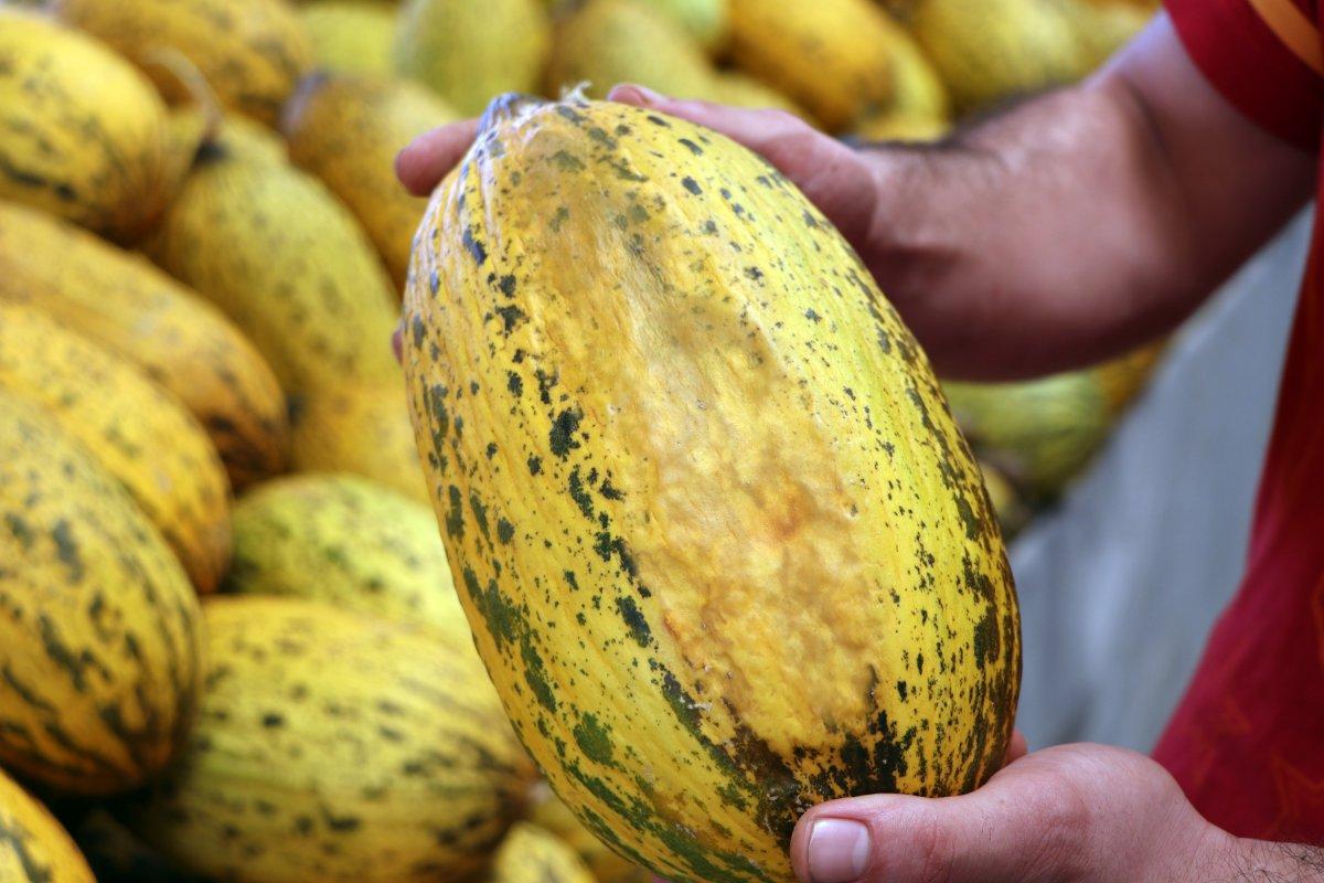 Adana'da sıcaklık 40 derece: Meyve ve sebzeler zarar gördü