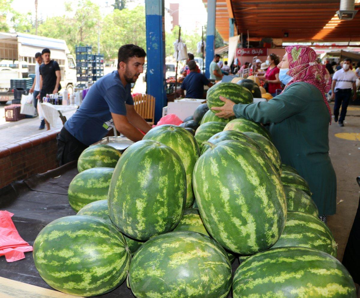 Adana'da sıcaklık 40 derece: Meyve ve sebzeler zarar gördü
