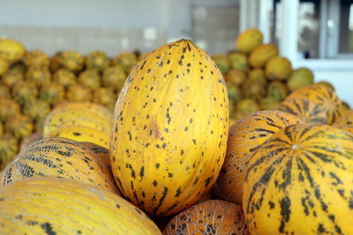 Adana'da sıcaklık 40 derece: Meyve ve sebzeler zarar gördü