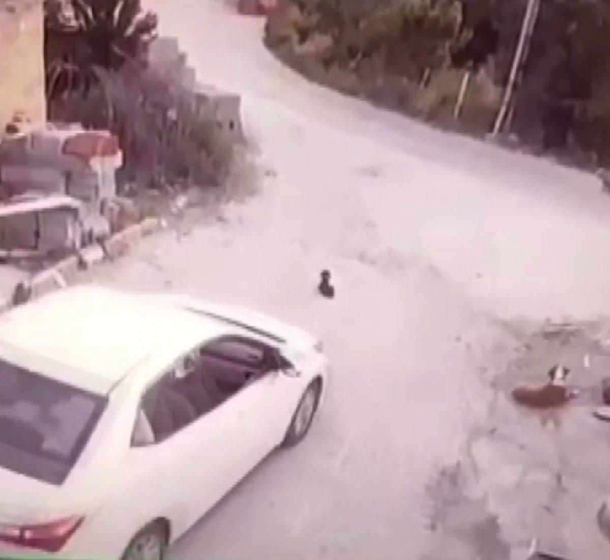 Konya'daki sürücü, gözünün önündeki köpeği ezdi