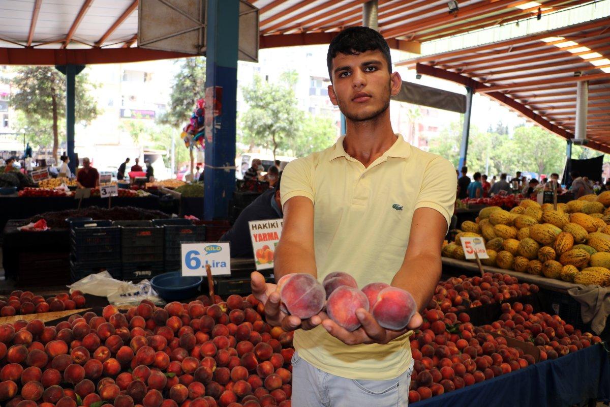 Adana'da sıcaklık 40 derece: Meyve ve sebzeler zarar gördü