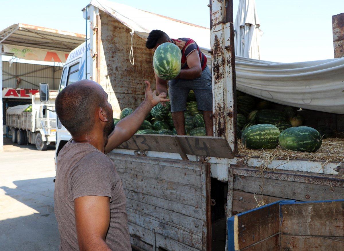 Adana'da sıcaklık 40 derece: Meyve ve sebzeler zarar gördü