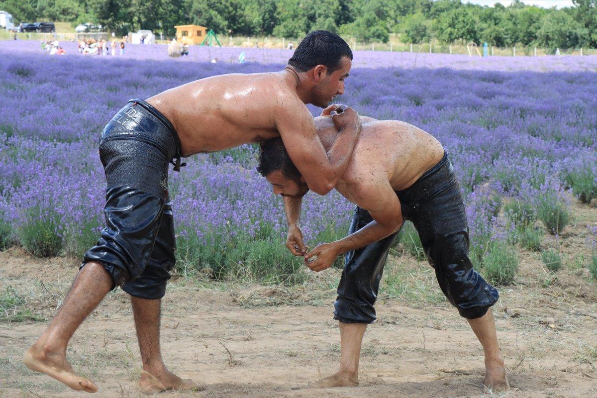 Kırklareli'de pehlivanlar, lavanta tarlasında Kırkpınar'a hazırlandı