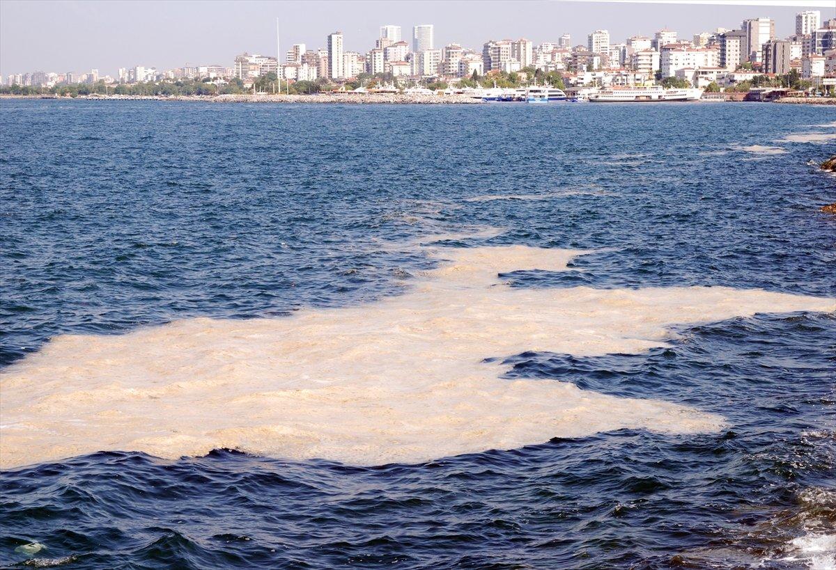 Murat Kurum: 10 bin 664 metreküp müsilajı depolama alanına gönderdik