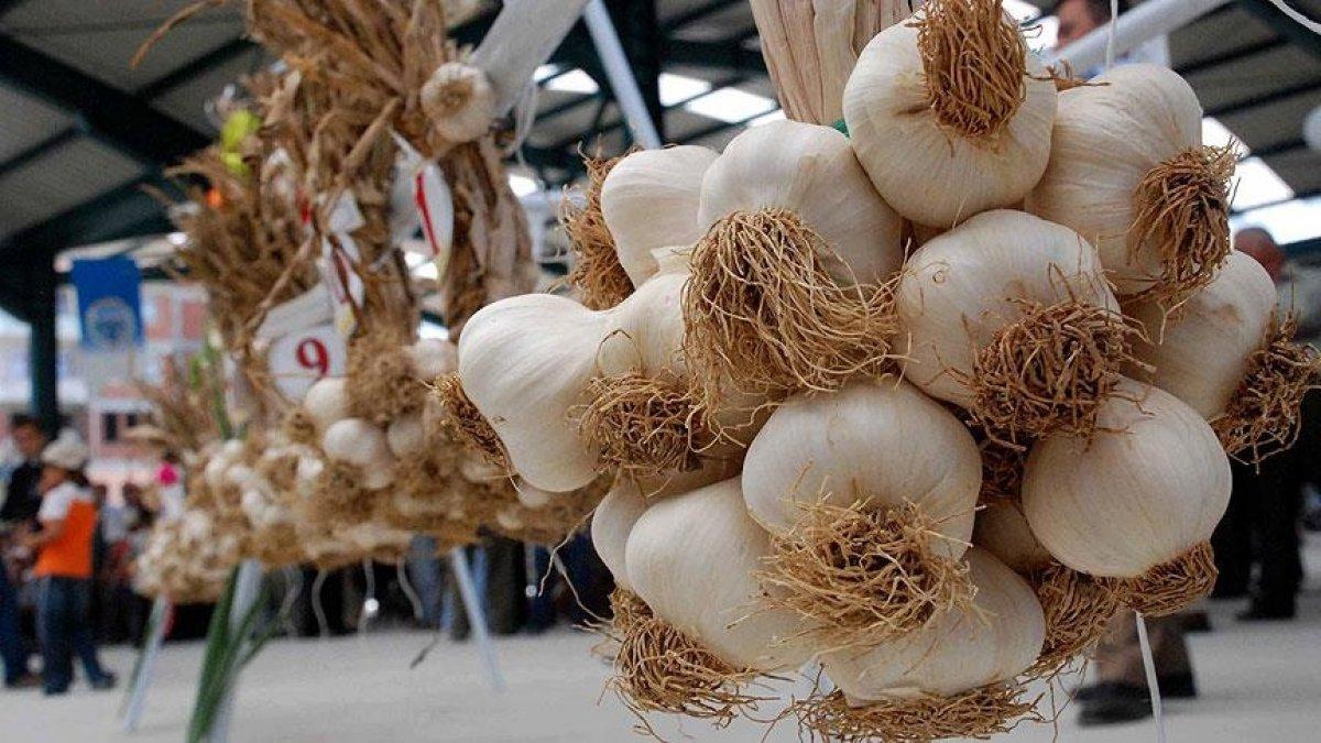 Sarımsak fiyatı düştü