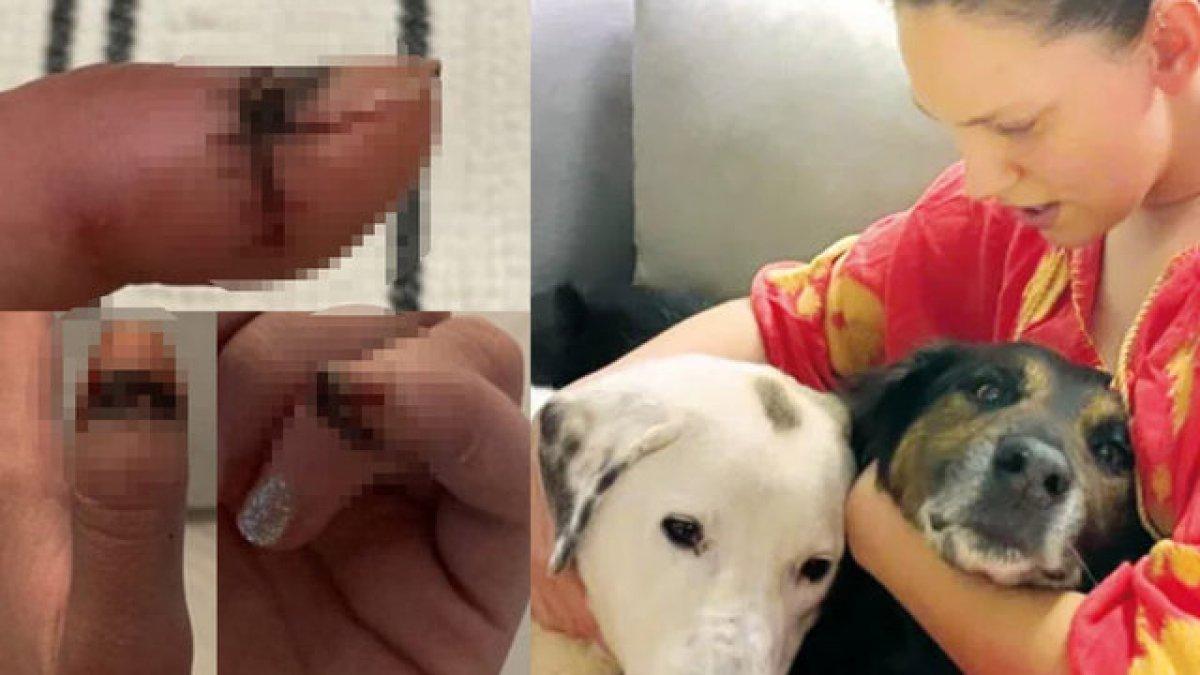 Farah Zeynep Abdullah: Çok şükür