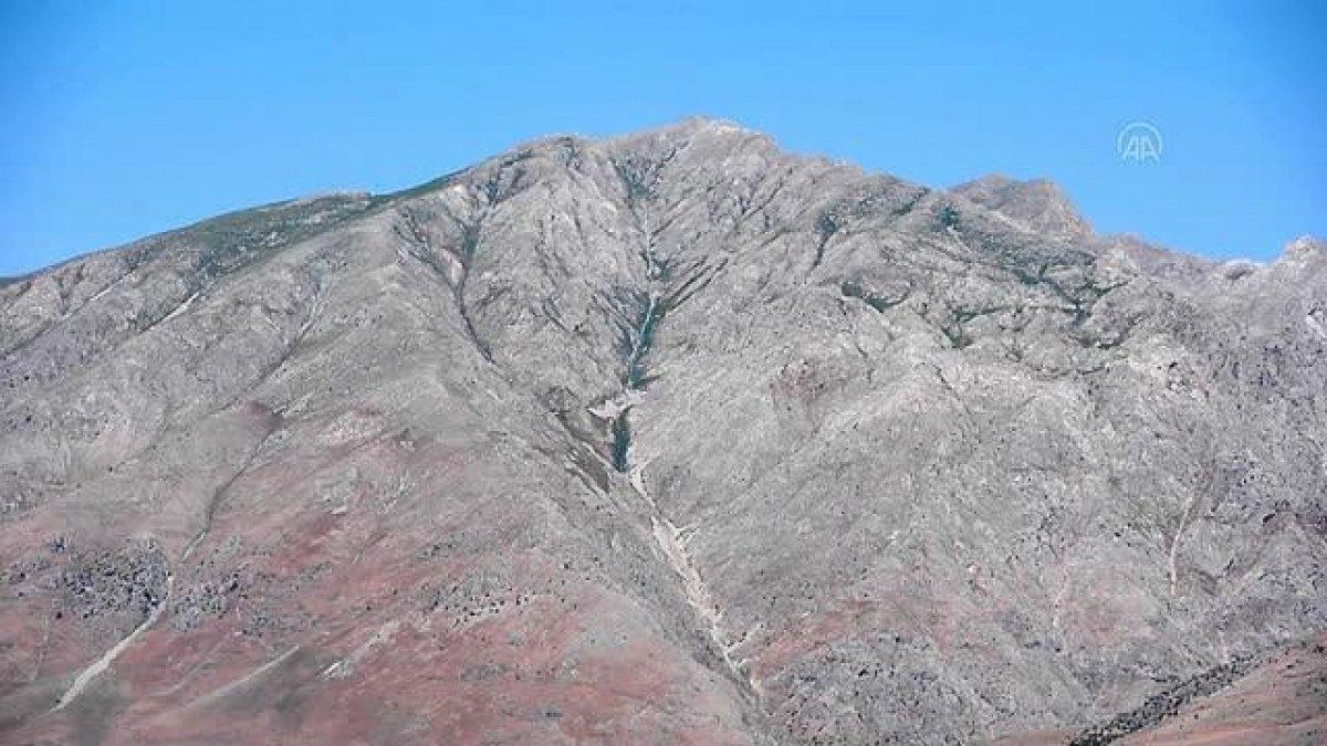 Tunceli'de dağ sarımsağı korumaya alındı