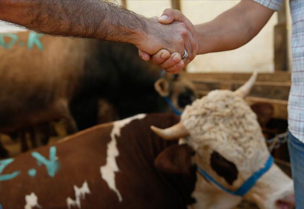 Diyanet, kredi kartıyla kurban satışıyla ilgili fetva verdi