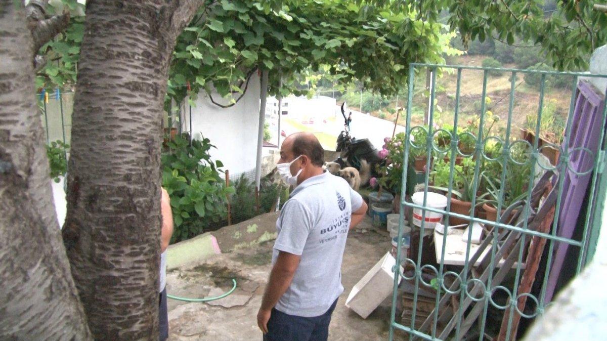 İstanbul’da uyuşturucu tacirlerine operasyon