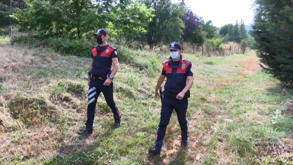 Pendik’te zehirlenerek öldürülmüş 17 köpek bulundu