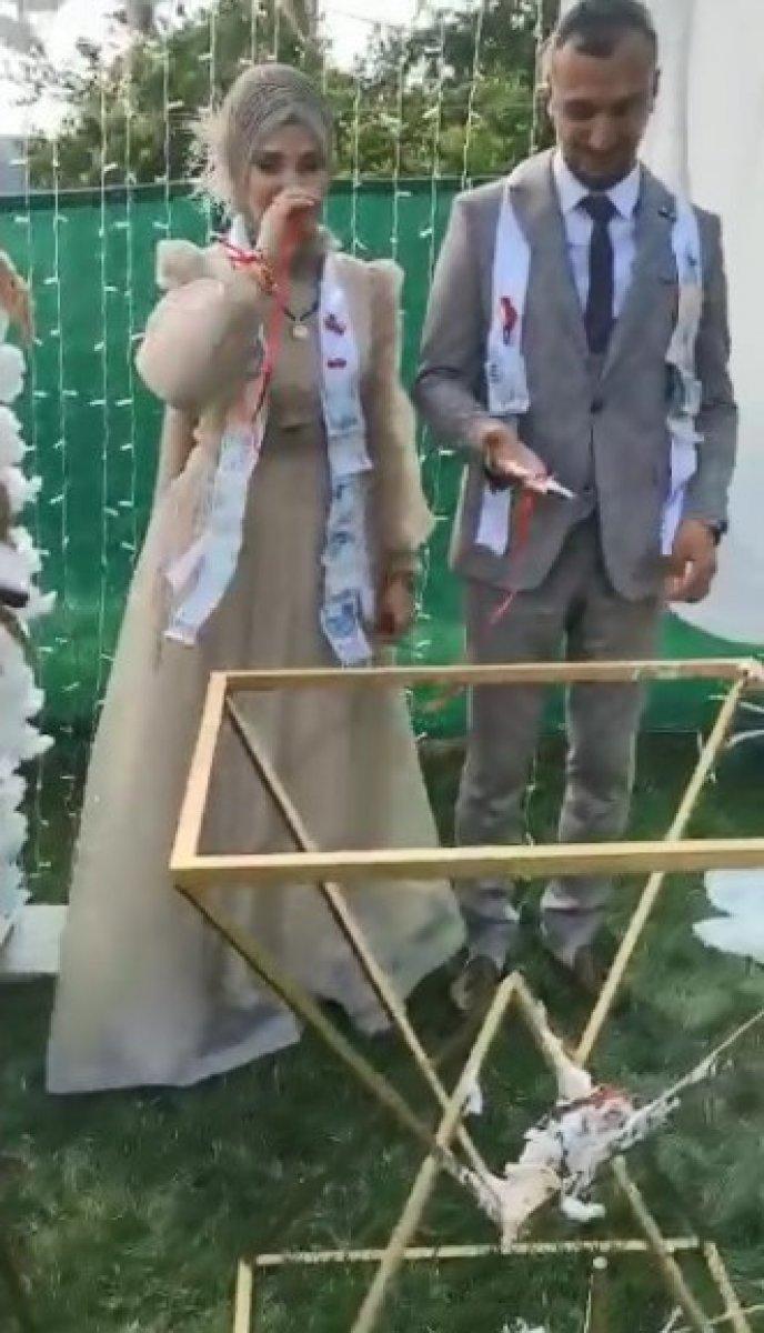 Kocaeli'de nişan pastası devrilen gelin ağladı