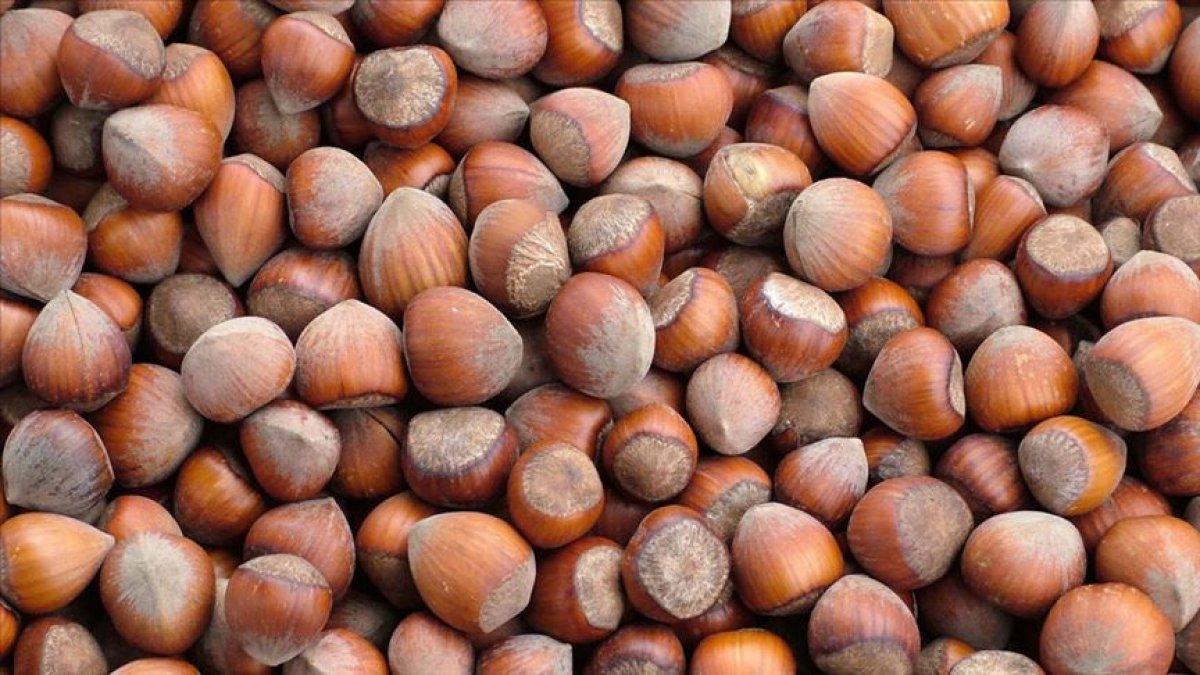 Güçlü kemikler için kalsiyum bakımından zengin 20 besin