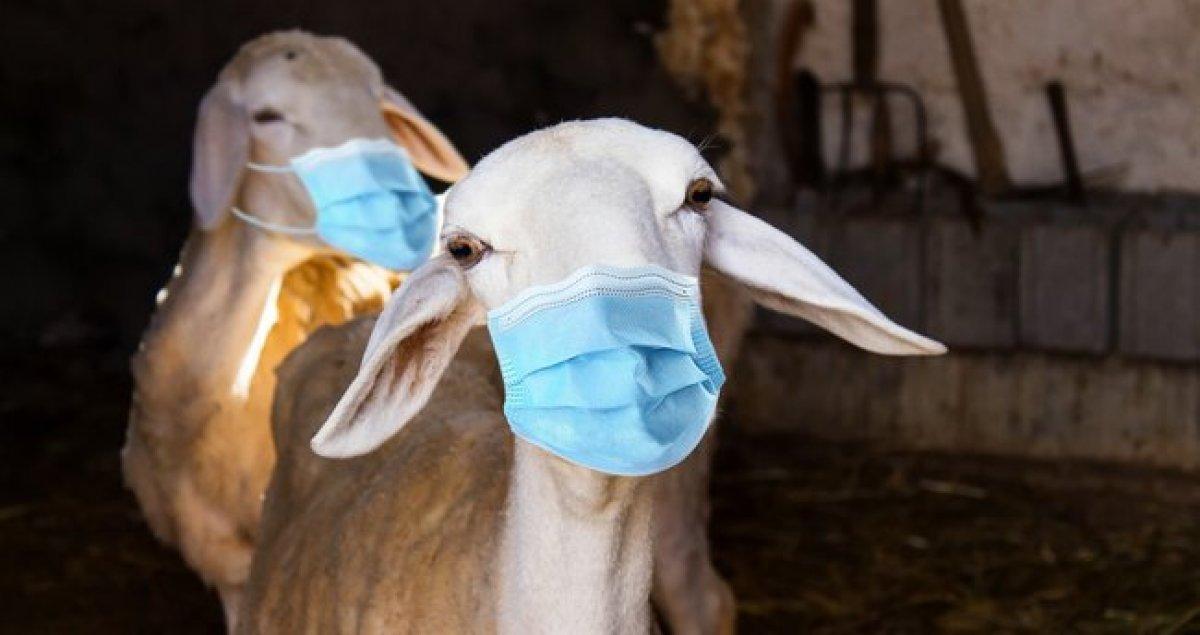 Kurban Bayramı'nda yasak var mı? 20-21-22-23 Temmuz'da seyahat yasağı olacak mı?.